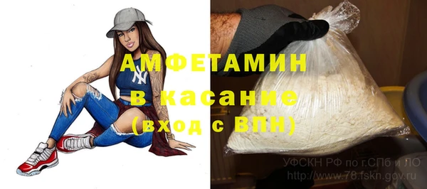 стафф Арсеньев
