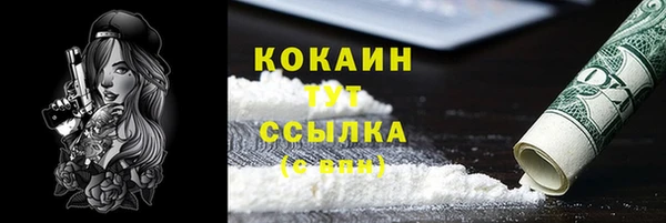 крисы Армянск