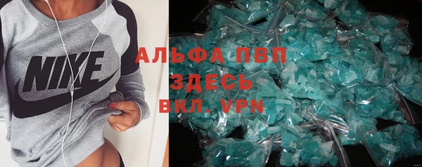 стафф Арсеньев