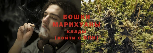 крисы Армянск