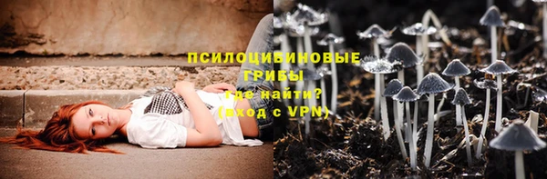 стафф Арсеньев