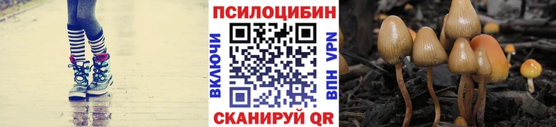 Галлюциногенные грибы MAGIC MUSHROOMS  Купить где  Борисоглебск 